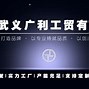 广利商城客户端鑫元广利定开债发起式连续下跌