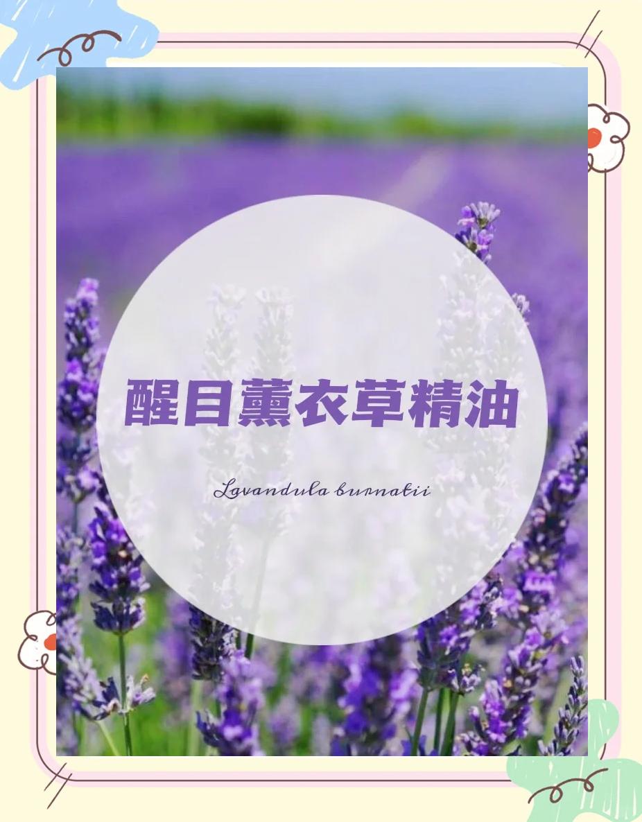 薰衣草客户端阅读薰衣草app视频打开